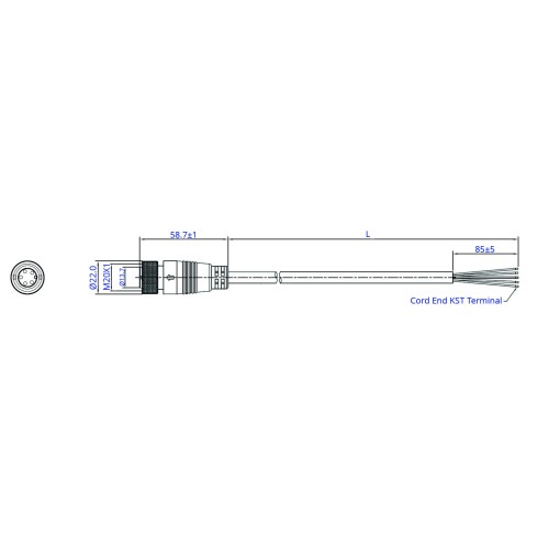 SCM20-XXSAS-XXXX - M20 Over-moulded Socket Cable Assembly (A Code)